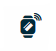 fitbit pay